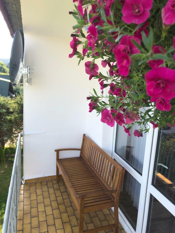 Apartament U Gogoca Tylicz Exterior photo